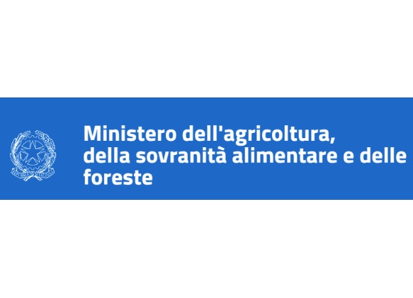 Chiarimento in merito alla BCAA 7 – anno di applicazione 2024