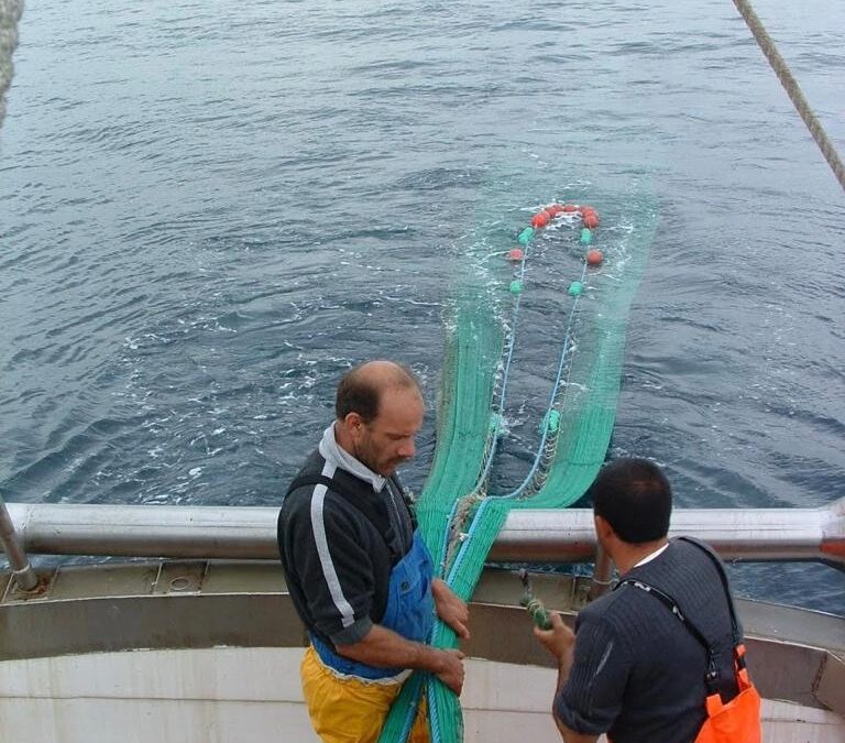 Stati generali: Alleanza coop pesca, sì ad Agenzia del mare - Ambiente e  Pesca - Mare 