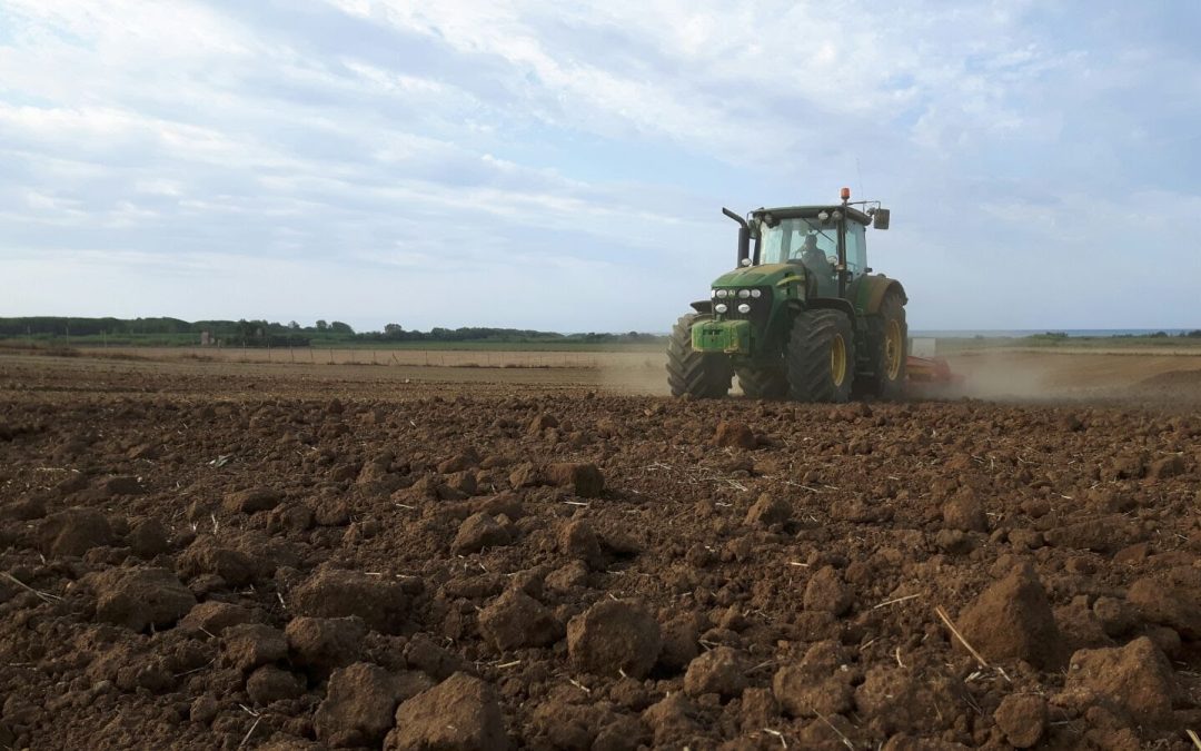 “Generazione terra”, riparte il 30 ottobre la misura ISMEA che finanzia l’acquisto di terreni