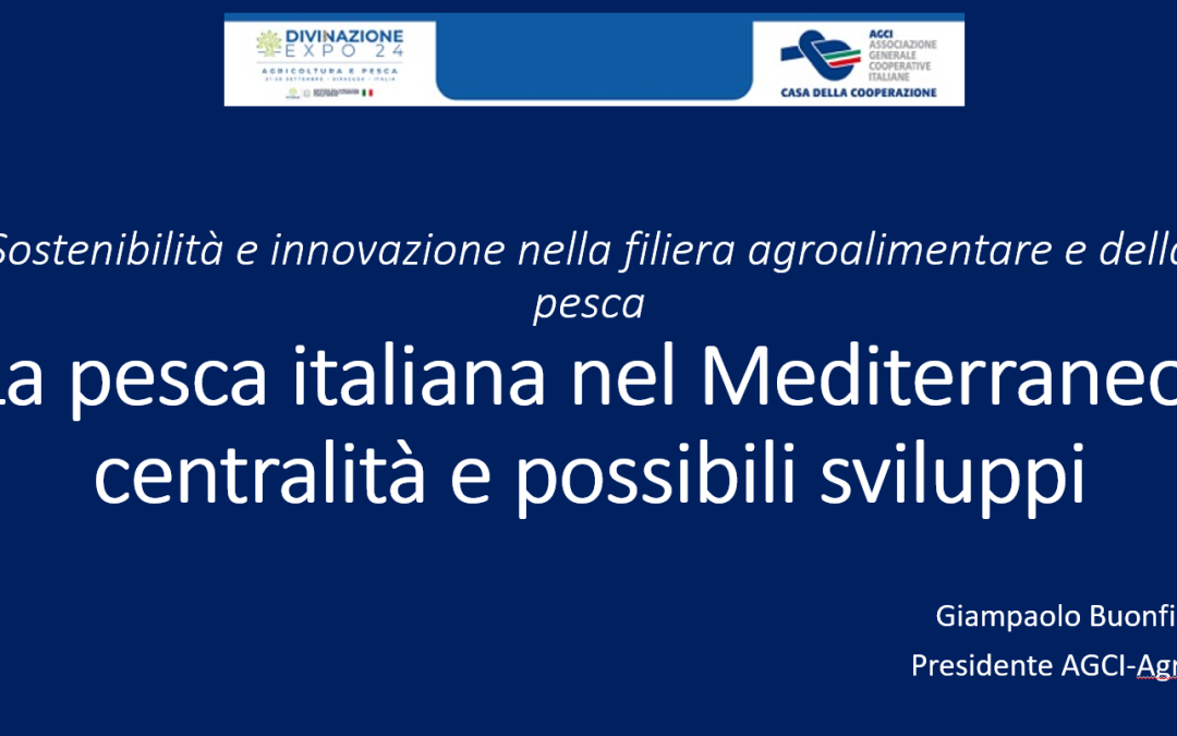 Sostenibilità e innovazione nella filiera agroalimentare e della pesca. La pesca italiana nel Mediterraneo, centralità e possibili sviluppi